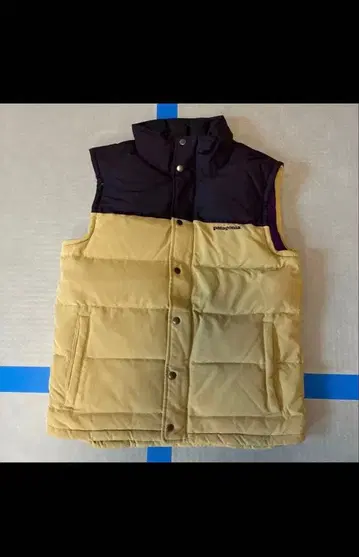 patagonia 파타고니아 다운 베스트