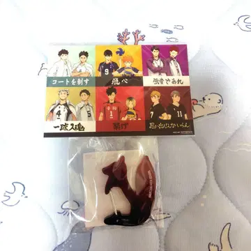 하이큐 승리의 길 카페 이나리자키 고교 아크릴 카라비너 카페