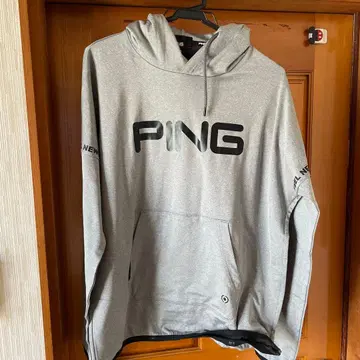 PING 후디