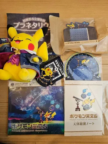포켓몬 천문대 피카츄 봉제 인형 세트