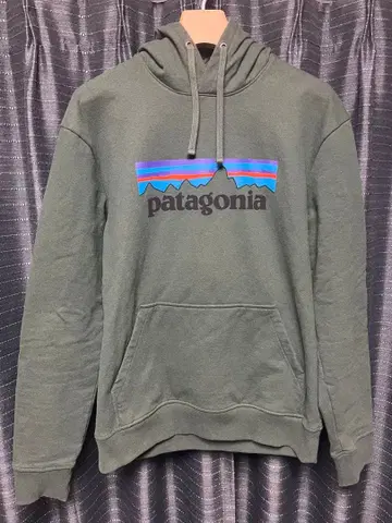 파타고니아 후드티