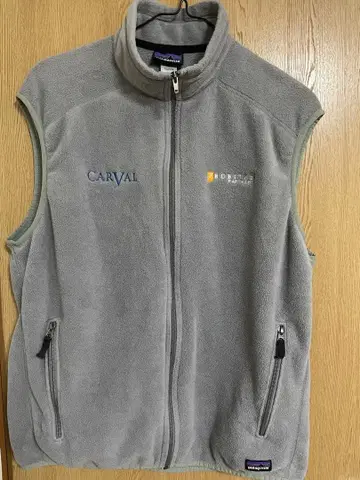 Patagonia 플리스 베스트