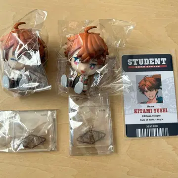 니지콧토 키타미 유세이 덤 포함