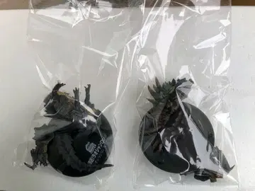 몬스터 헌터 초조형혼 아캄토르무, 라오샨롱 아종