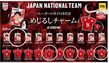 배구 남자 일본 대표 / 메지루시 참