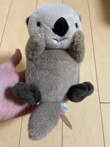 포차마루 토바 수족관 봉제 인형