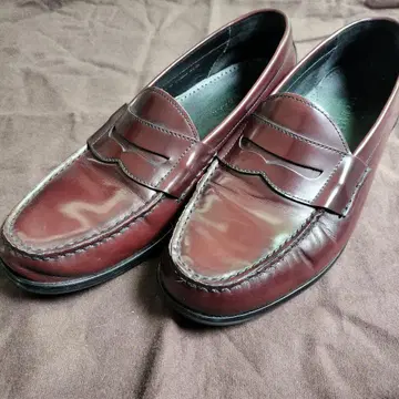 콜한 코인 로퍼