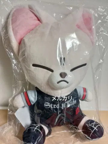 stray kids dominATE 에코파 봉제 인형 폭시니