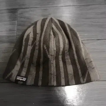 Patagonia 스트라이프 모자