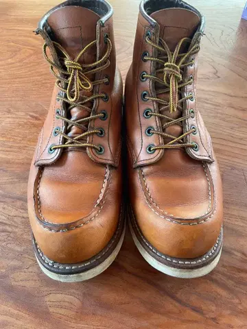 REDWING 아이리쉬 세터 10875 27.0