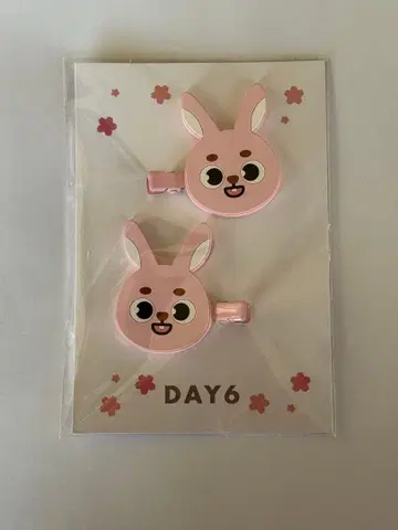 DAY6 데니멀즈 원필 PIL 헤어 클립 ForeverYoung