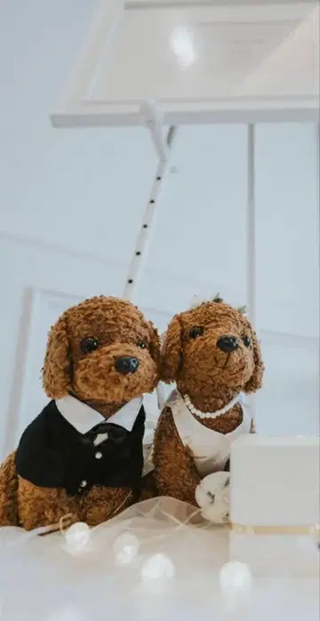 웰컴 스페이스 장식