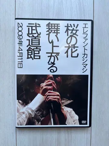 엘리펀트 카시마시 벚꽃 꽃잎 흩날리는 무도관