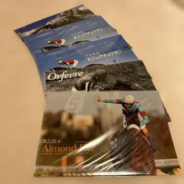 클리어 파일 5장 세트