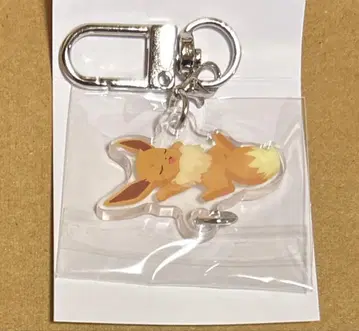 포켓몬 슬립 연결 아크릴 참 이브이 프렌즈 이브이