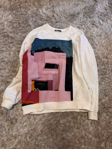 ALBERT HORN 아트 프린트 맨투맨 ZARA