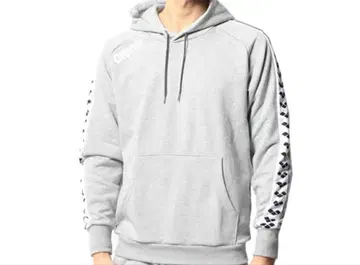 arena 그레이 후드티