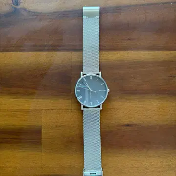 SKAGEN 그레이 손목시계 메쉬 밴딩