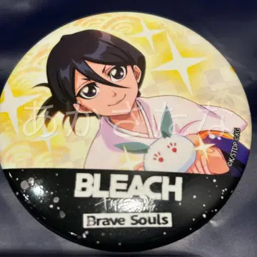 BLEACH 브레솔 fes 캔뱃지 후목 루키아