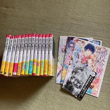 악역 영애는 이웃 나라 왕태자에게 애받된다 소설 13권까지