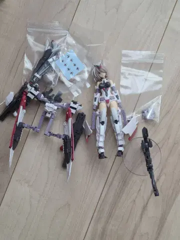 프레임 암즈 걸 콘고 파치구미