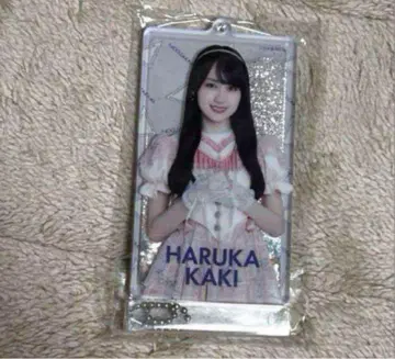 노기자카46 카키 하루카 2025 Lucky Bag 젤 키링