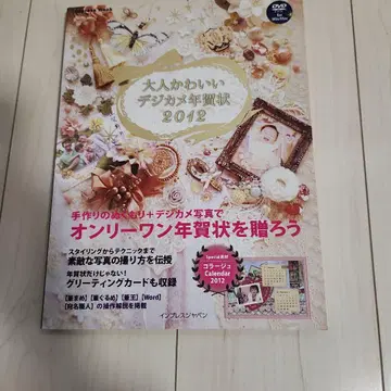 성숙 큐트 디지털 카메라 연하장 2012