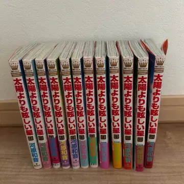 태양보다 눈부신 별 1~12권 세트