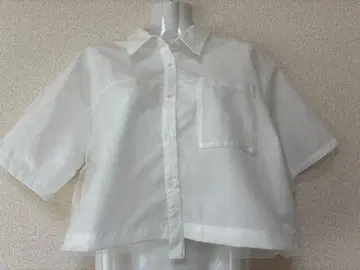 amr 튤 화이트 반팔 셔츠