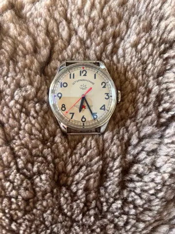 새상품급 슈트로만스키 수동 와인딩 시계 스켈레톤 백 세계 한정판 999개