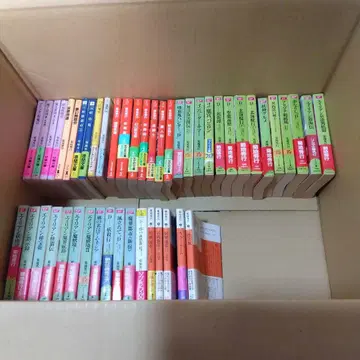 소설, 키쿠치 히데유키, 48권