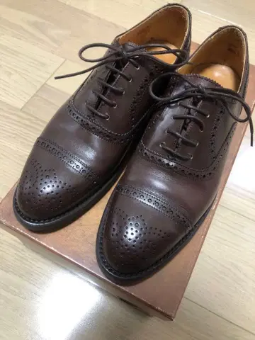 Berwick 버윅 5457BCDA 다크 브라운 24cm