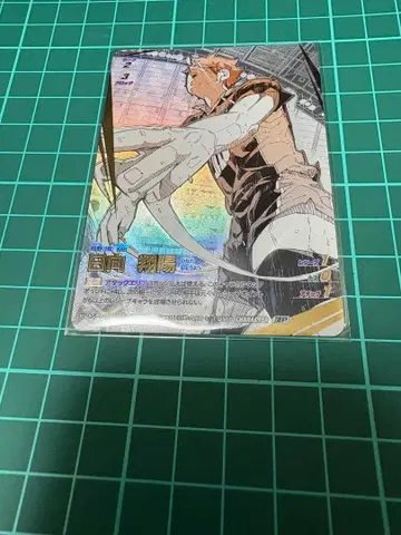 하이큐!! 바보카 히나타 쇼요