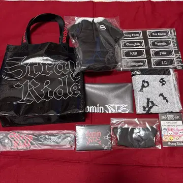 straykids 스키즈 업그레이드 혜택 굿즈