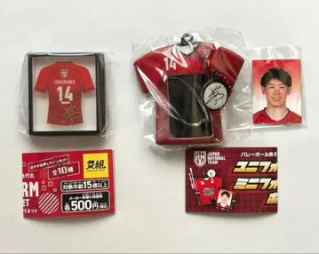 이시카와 유키 가챠