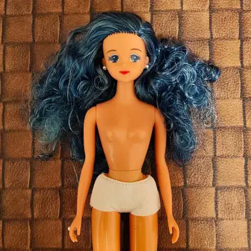 제니 월드 컬렉션 눈의 여왕 에이틴 제니