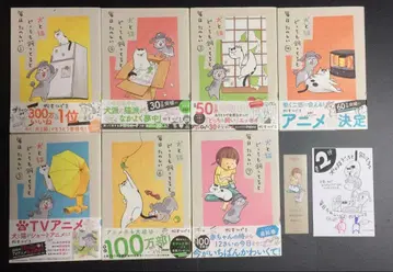 개와 고양이 둘 다 키우면 매일 즐거운 세트