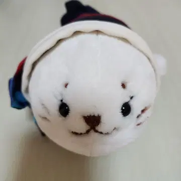 스튜어디스 시로땅 플라이트 어텐던트 시로땅 JAL 마더 가든