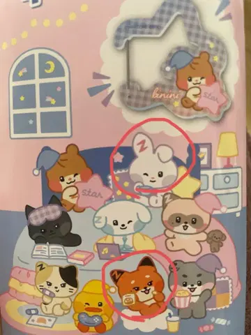 제로베이스 원칼라 내비 유진 메튜 2개