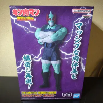 미개봉품! 근육맨 완벽 초인 시조편 리얼 피규어 네메시스!