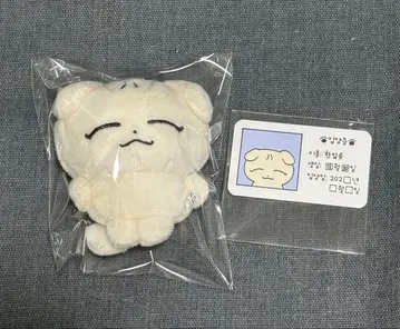 SEVENTEEN 조슈아 봉제 인형 마스터