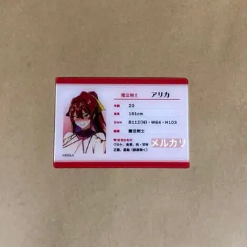 스탯 카드 아리카