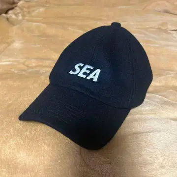WINDANDSEA 캡