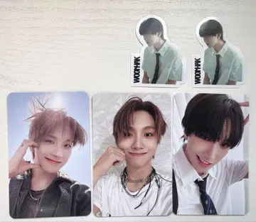 운학 트레이딩 카드 3점 THE ACTION 스티커 2점