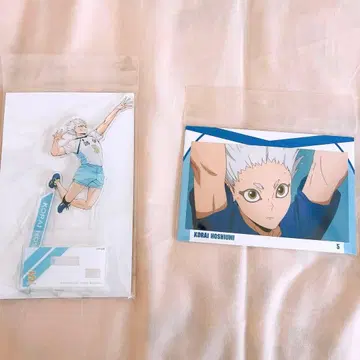 하이큐 호시우미 코라이 아크릴 스탠드