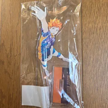 하이큐 아크릴 스탠드 히나타 쇼요 Ani-Art BIG 아크릴 스탠드