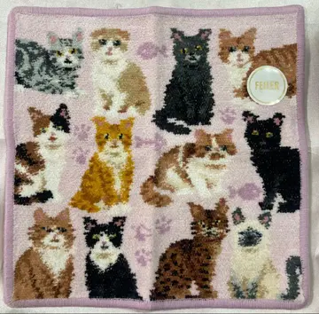 [ 새상품 ] 페이러 손수건 마이큐트키튼