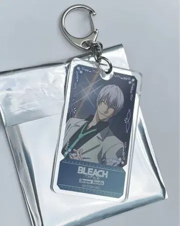 BLEACH 블리치 아크릴 키링 이치마루 긴