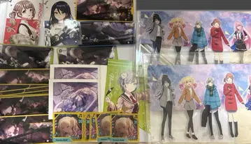 프로세카 레오니 24점 묶음 판매 하피콜 메모스테 에피카 금박 사키