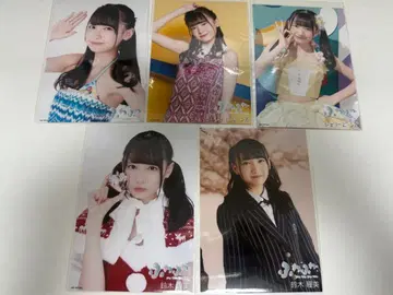 스즈키 히토미 복슬복슬 브로마이드 5장 세트